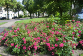  Apartmenthaus Rosenflair  Шёнебек